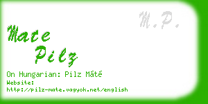 mate pilz business card